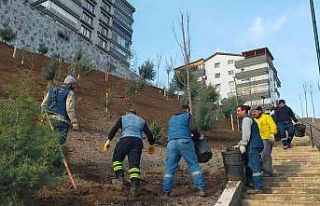 Keçiören’de ağaçlandırma seferberliği