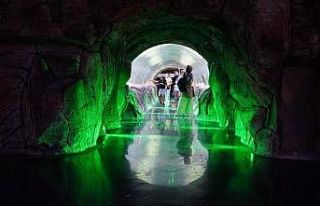 Keçiören’de öğrenciler su altı canlılarını...