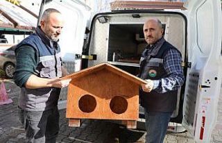 Kedi Evi projesi İlkadım’da hayat buldu