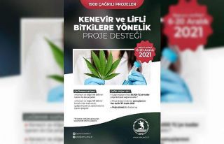 Kenevir için proje çağrısı