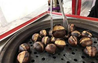 Kestane satıcıları yılbaşı yaklaşırken umutlu