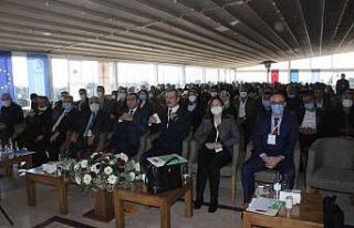 Kilis’te İstihdam Fuarı