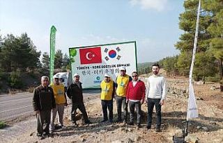 Kilis’te Türkiye-Kore Dostluk Ormanı’nda 20...
