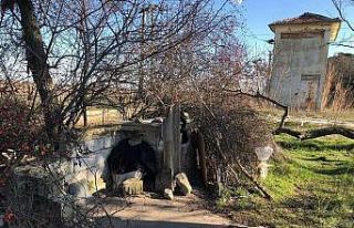 Kırklareli’nde evsiz yaşlı adam bakım merkezine...