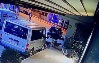 Kız çocuğuna sokak köpekleri saldırdı, o anlar...