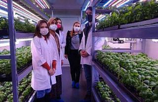 Konteynerde tarım dönemi