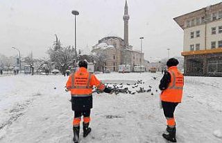 Konya Büyükşehir doğadaki sahipsiz hayvanlara...