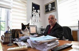 Konyaaltı’nda 30 muhtarlık 1 yıl boyunca internetten...