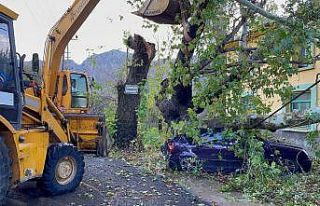 Konyaaltı’nda fırtınayla mücedele çalışması