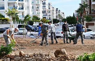 Konyaaltı’nda kişi başına düşen yeşil alan...