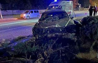 Köpeğe çarpmamak için direksiyonu kırdı, ağaca...
