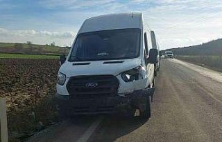 Köpeğe çarpmamak için kaza yaptılar