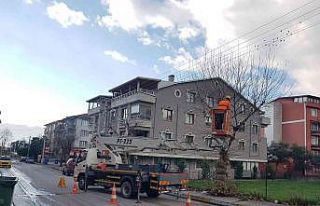 Körfez’de ağaçlara kış bakımı yapılıyor