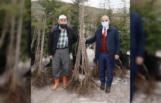 Körfezli çiftçilere 4 bin ceviz ve kiraz fidanı