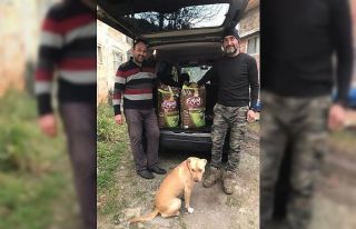 Köyündeki sokak kedileri için kampanya başlattı,...