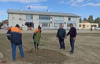 Kozan’da okul bahçesine fidan dikildi peyzaj çalışması...