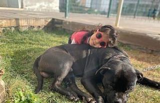 Küçük Asiye uyutuluyor