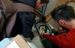 Küçük yüreklerden büyük hareketler