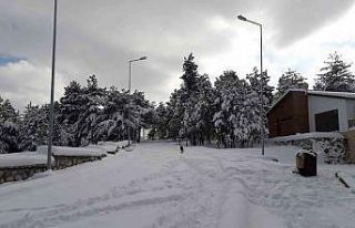 Küçükelmalı Tabiat Parkı beyaza büründü