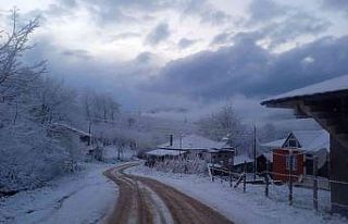 Kumru beyaza büründü