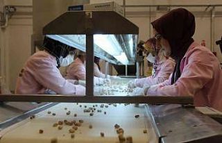 Kuraklık Siirt fıstığının rekoltesini düşürdü,...