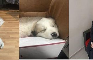 Kur’an Kursu öğreticisi Yılmaz’dan örnek davranış