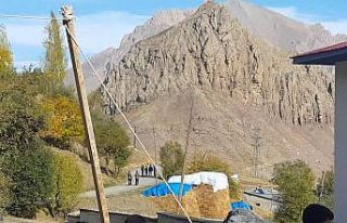 Kurt sürüsü 6 hayvanı telef etti