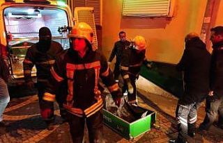 Kuşadası’nda ısınmak için sığındıkları...