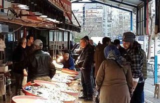 Lodos levrek getirdi