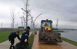 Lodosun ardından sahillerde 100 kamyon atık toplandı