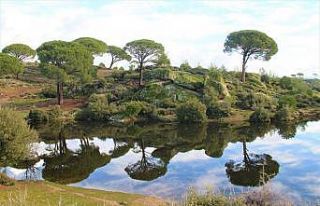 Madran Dağı’nın güzelliği görenleri hayran...