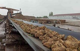 Malatya’da pancar alım sezonu sona erdi