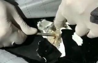 Malatya’da uyuşturucu tacirlerine büyük darbe