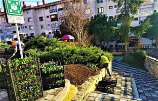 Maltepe’de park ve bahçelere son dokunuşlar yapılıyor