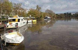 Manavgat yangını, küllerini 5 ay sonra sel sularıyla...