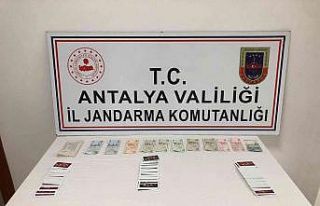 Manavgat’ta kumar operasyonu