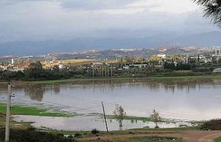 Manavgat’ta su basan ekili arazileri su kuşları...
