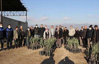 Manisa Büyükşehir Belediyesinden üreticilere 100...