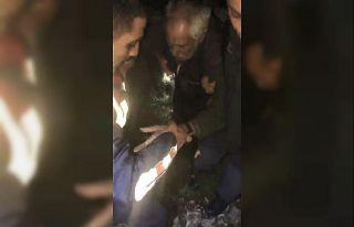 Mantar toplarken kayboldu, bulunduğunda gözyaşlarını...