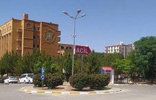 Mardin’de 4 çocuk annesi, eşi tarafından öldürüldü