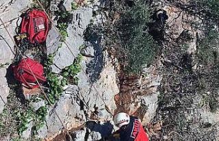 Marmaris AKUT’tan keçi kurtarma operasyonu