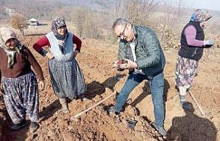 Mavi yemişe 145 bin liralık hibe