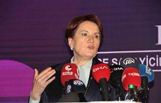 Meral Akşener, İzmir’de iş dünyasıyla buluştu