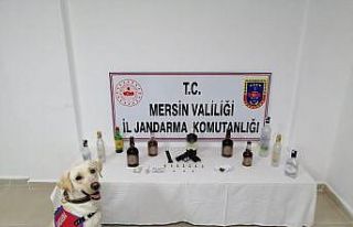 Mersin’de sahte alkol uygulaması
