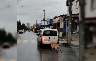 Mersin’de tepki çeken görüntü