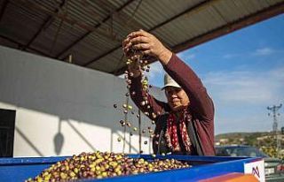 Mersin’de zeytin üreticilerine ekipman desteği