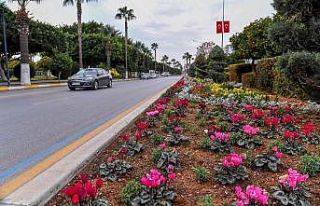 Mersin’in 4 bini yanı çiçeklerle renkleniyor
