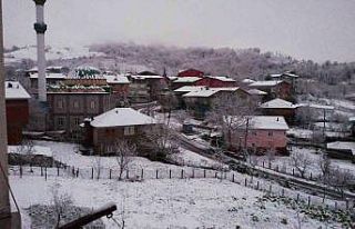 Mevsimin ilk karı yağdı, kartpostallık görüntüler...