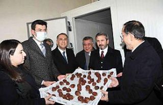 Meyve kurutma ve paketleme tesisi açıldı