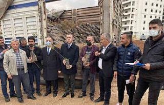 Midyat’ta çiftçilere 48 bin 805 fıstık-badem...